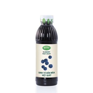 Sinh Tố Việt Quất Osterberg 1L